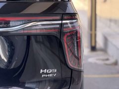 Hongqi HQ9 PHEV 2.0T AWD Business Edition - фото 13