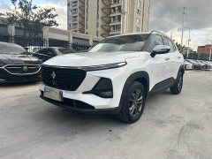 Baojun RS-3 2020 1.5L CVT 24-hour online luxury - фото 1