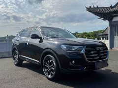Haval H6 2021 Guochao Edition 1.5T Automatic Urban Edition - фото 3