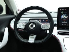 smart#1 Premium Edition - фото 16