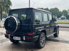 Mercedes-Benz G 450 d - фото 14