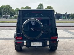 Mercedes-Benz G 450 d - фото 16