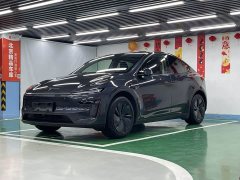Tesla Model Y rear-wheel drive version - фото 1