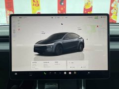 Tesla Model Y rear-wheel drive version - фото 15