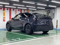 Tesla Model Y rear-wheel drive version - фото 7