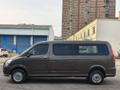 G5 2.0L Edition51TZS - фото 4