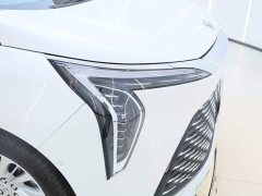 Volvo Century 2.0T Six-seater Yuanshi Edition - фото 12