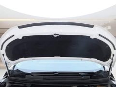 Volvo Century 2.0T Six-seater Yuanshi Edition - фото 20