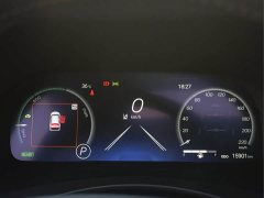 2.5L HEVAWDPremium Edition - фото 16