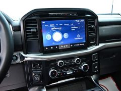 Ford F-150 Raptor 2023 3.5T Raptor - фото 17