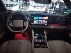 Fangchengbao Leopard 5 2023 Discovery Edition - фото 10