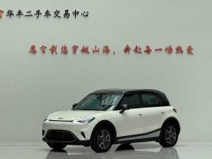 smart Elf #1 2022 Premium Edition - фото 1