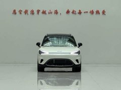 smart Elf #1 2022 Premium Edition - фото 2