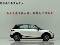 smart Elf #1 2022 Premium Edition - фото 4