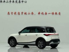 smart Elf #1 2022 Premium Edition - фото 7