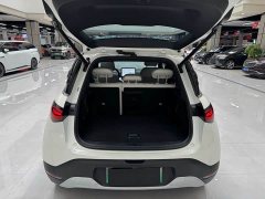 smart Elf #1 2022 Premium Edition - фото 8