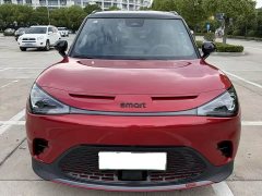 smart elf #1 BRABUS performance version - фото 2
