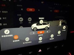smart elf #1 2022 BRABUS performance version - фото 14