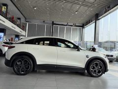 smart #3 2023 Pulse AWD - фото 13