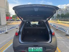 smart elf #1 BRABUS performance version - фото 13