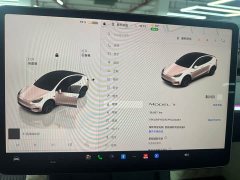 Tesla Model Y 2023 Rear-Wheel Drive - фото 12