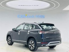 Volkswagen Tanyue 30 million units selected 300TSI - фото 7