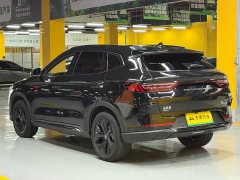 BYD Song PLUS New Energy 2021 DM-i 110KM Flagship PLUS - фото 5