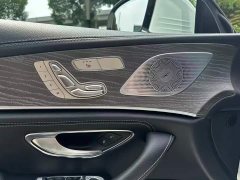Mercedes-Benz CLS 300 Dynamic - фото 19