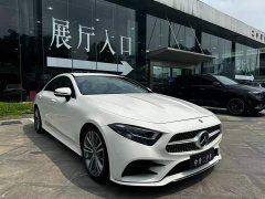 Mercedes-Benz CLS 300 Dynamic - фото 3