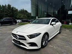 Mercedes-Benz CLS 300 Dynamic - фото 4