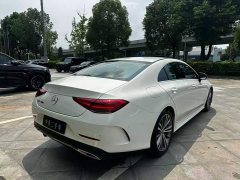 Mercedes-Benz CLS 300 Dynamic - фото 8