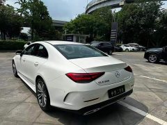 Mercedes-Benz CLS 300 Dynamic - фото 9