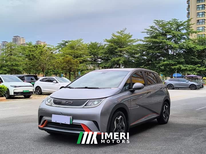 BYD Dolphin 2021 405km fashion version