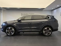 Denza X 2020 PHEV flagship version - фото 3