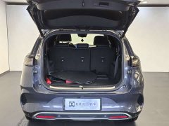 Denza X 2020 PHEV flagship version - фото 7