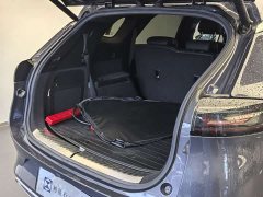 Denza X 2020 PHEV flagship version - фото 8