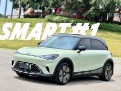 smart Elf #1 Premium Edition - фото 1
