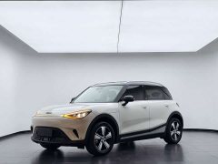 smart #1 Pro - фото 1