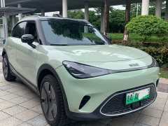 smart Elf #1 2022 Premium Edition - фото 1