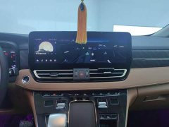 Hongqi HQ9 PHEV 2.0T AWD Business Edition - фото 13