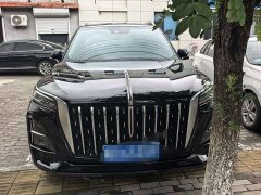 Hongqi HS5 2023 2.0T AWD Qixiang Pro Edition - фото 2
