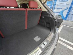 Hongqi E-HS9 2022 690km Qixiang Edition Six-Seater - фото 16