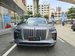 Hongqi E-HS9 2022 690km Qixiang Edition Six-Seater - фото 2