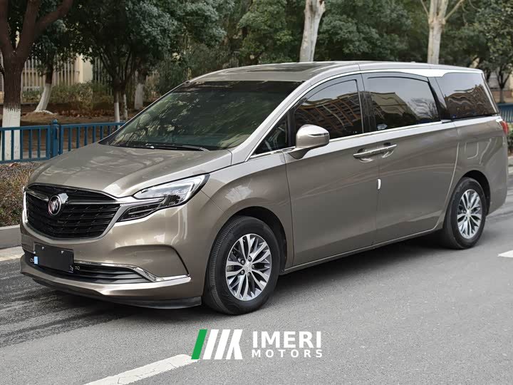 Buick GL8 ES Land 653T Luxury - автомобиль из Китая