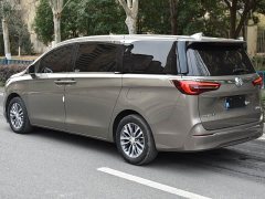 Buick GL8 ES Land 653T Luxury - фото 10