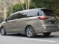 Buick GL8 ES Land 653T Luxury - фото 12