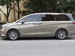 Buick GL8 ES Land 653T Luxury - фото 14