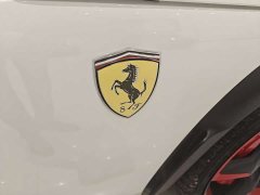Li Auto Purosangue 2023 6.5L V12 - фото 10