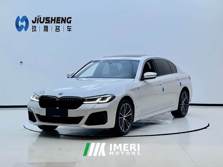 BMW 5 Series 530Li Leading M Sports Package - автомобиль из Китая
