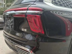 Hongqi Golden Sunflower Guoyao 4.0T elegant flag version 6 seats - фото 6